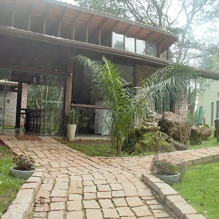 Bosque São Francisco-2